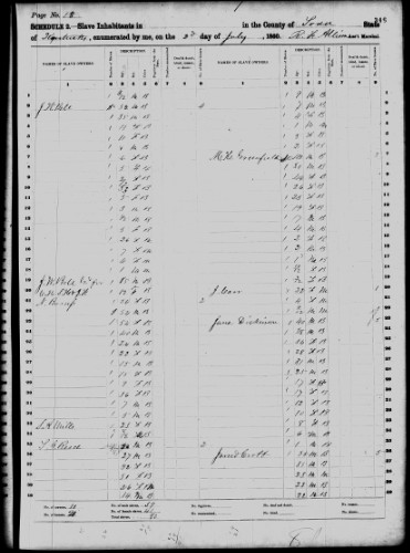 Census slave schedule, 1860