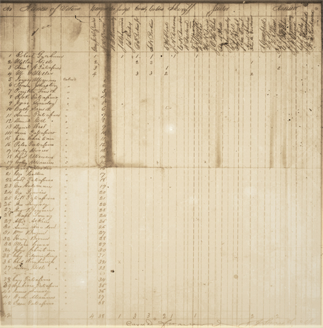 1870 Hadensville Pollbook
