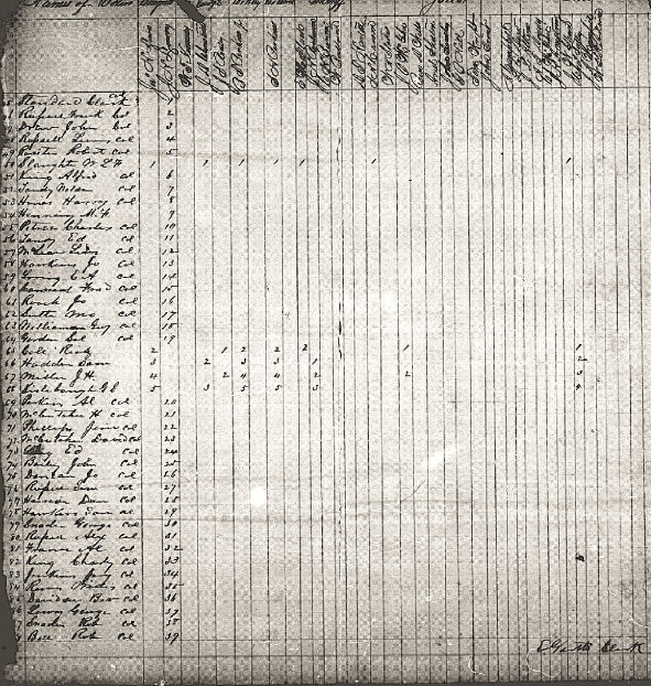 Elkton 1870 Pollbook